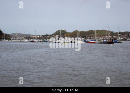 Avis de Conwy (Conway) Harbour dans le Nord du Pays de Galles avec une variété de bateaux au mouillage et Deganwy dans l'arrière-plan Banque D'Images