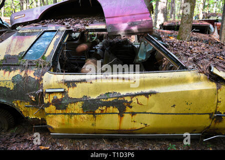 Image en gros plan de la face d'une vieille voiture de rebut dans un parc à ferrailles Banque D'Images