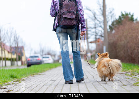 Une femme conduit son chien en laisse. Banque D'Images