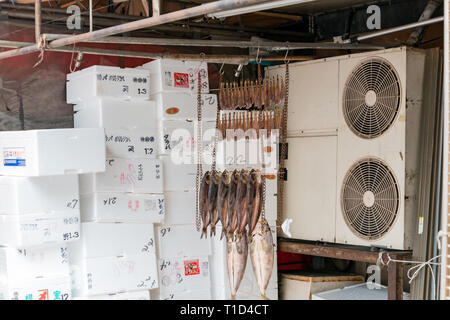 Hokkaido, AUG 8 : sécher les poissons à l'arrière d'un magasin le Août 8, 2017 à Hokkaido, Japon Banque D'Images