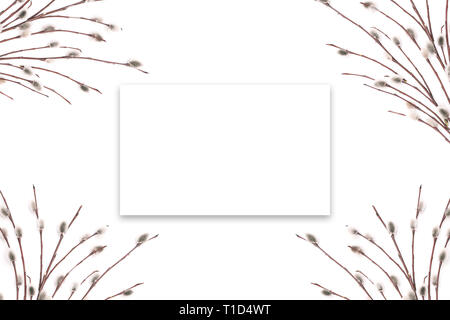 Tiges d'arbres en fleurs sur un fond blanc. Carte de vœux ou modèle de bannière de publicité. Espace libre dans le cadre de text Banque D'Images