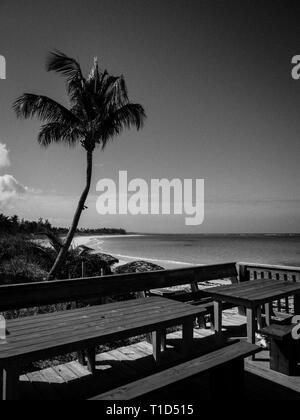 Paysage noir et blanc de littoral, la Tippy et Beachside Bar, North Palmetto Point, Eleuthera, aux Bahamas. Banque D'Images