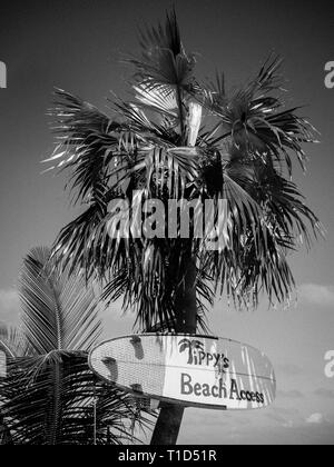 Paysage noir et blanc de littoral, la Tippy et Beachside Bar, North Palmetto Point, Eleuthera, aux Bahamas. Banque D'Images