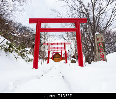 Un Sanctuaire Shinto japonais protégés par des portes Torii le long de la voie de la Buddhist Temple, lieu de culte au Japon. L'architecte du bâtiment de culte sacré Banque D'Images