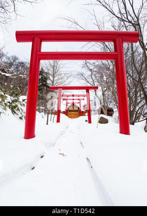 De Torii rouge Sanctuaire Shinto à sur l'île de Hokkaido au Japon. Scène d'hiver de chemin par Gates et la neige profonde à temple. Banque D'Images