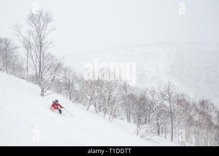 Télémarque skieur d'arrière-pays en veste rouge tourné en poudre profonde forêt de Niseko Mountain Banque D'Images