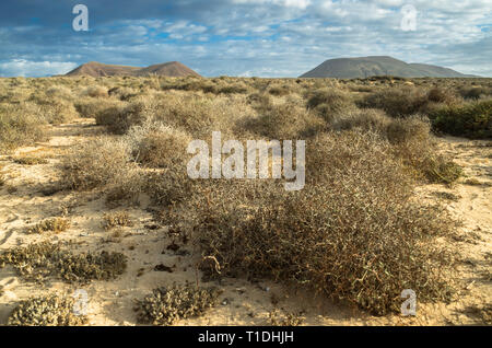 Le paysage aride de La Graciosa, dans les îles Canaries Banque D'Images