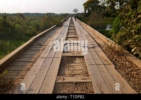 Pont de bois sur la route Transpantaneira dans le Pantanal au Brésil Banque D'Images