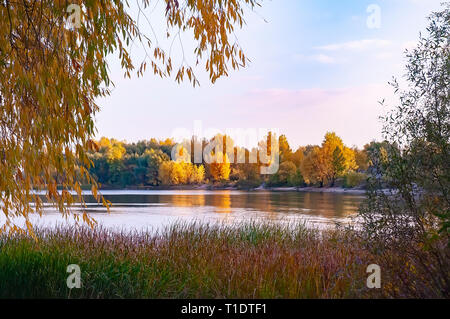 Journée d'automne ensoleillée près de la rivière Dniepr dans Kien, l'Ukraine, avec des plantes, roseaux et arbres autour de Banque D'Images