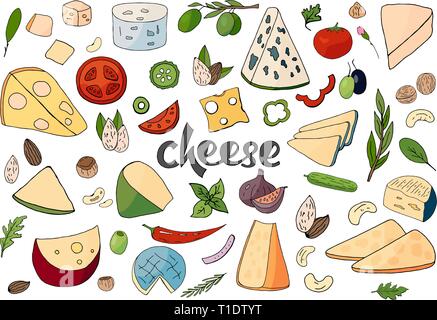 Ensemble de main tirées de différents types de fromages sur fond blanc. Illustration de Vecteur