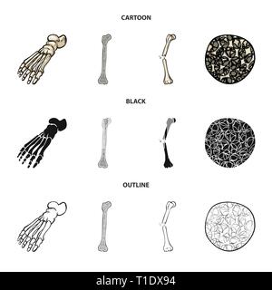 Fracture du fémur,pieds,de,l'ostéoporose,cheville,la douleur,cell,osseux sain,jambe,biais,tissu,,la podologie,dommage,Genou,avant-pied,conjonctif,tibia,DE,panneaux,cartilage péroné,structure,l'appareil locomoteur, les pieds plats,linstallation,mouvement,fibre optique,joints,système,scientifique,médecine,musculaire,biologie,clinique,medical,,os,squelette humain,anatomie organes,,set,icône,,illustration,collection,isolé,design,graphisme,élément vecteur vecteurs,signer , Illustration de Vecteur