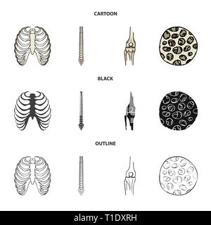 Nervure, colonne vertébrale,fémur,,fibre,cage,chiropratique,osseuses,sain,rx,base,jambe,scientifique,le corps,la colonne vertébrale,Genou,musculaires ostéoporose,tibia,,épithélium sternum,posture,péroné,épiderme,sternum,joints,tendon,mouvement,calcium cellule,chirurgie,dommage,la médecine,clinique,biologie,médical,os,,squelette anatomie,des,organes,,set,icône,,illustration,collection,isolé,design,graphisme,élément vecteur vecteurs,signer , Illustration de Vecteur