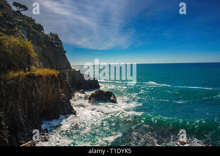 Vue panoramique sur mer et port dans village coloré Manarola, parc national des Cinque Terre, Ligurie, Italie. C'est l'un des cinq célèbres pittoresque. Banque D'Images