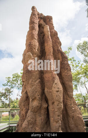 Termitière dans le parc national de Litchfield en région éloignée du territoire du nord de l'Australie Banque D'Images