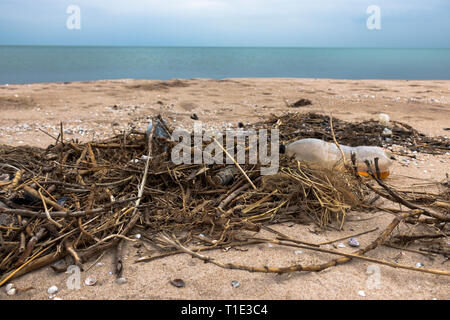 Les bouteilles en plastique et de roseaux sur le sable. Bord de mer. Des ordures sur la plage. La pollution de l'environnement. Sauver la planète. Problème écologique. Littoral sale. Banque D'Images