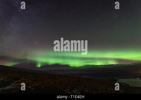 Northern Lights sur Hvitserkur, Islande Banque D'Images