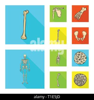 Fémur,foot,,hanche,l'appareil locomoteur Fracture,fibre,ostéoporose,casse,bassin,cheville,bony,joints,sain,scientifique,la douleur,cell,bois,dommage,joints,mouvement,tissus,système musculaire,chirurgie,pieds nus,calcium,ossature,jambe tendon,os,,squelette anatomie,des,organes,médical,médecine,clinique,biologie,,set,icône,illustration,isolé,collection,design,élément,graphique,télévision,signe,ombre,vecteurs vecteur , Illustration de Vecteur