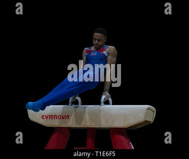 Joe Fraser (GO) en action lors de la Coupe du Monde de Gymnastique 2019 à l'Arène de Genting, France le 23 mars 2019. GlennSports. Banque D'Images