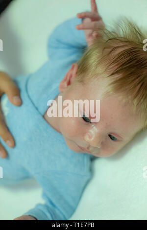 Bébé de trois semaines. Autorisation modèle disponible Banque D'Images
