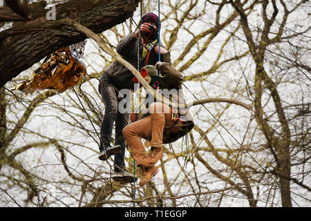 26 mars 2019, Berlin, Düsseldorf : un homme cagoulé cordes lui-même vers le bas d'une maison de l'arbre. Au cours de l'opération policière pour une suspicion d'excréments dans le lanceur de Hambach forêt, une personne en cordée vers le bas d'une maison de l'arbre. Un porte-parole de la police a déclaré mardi qu'elle avait été prise d'une voiture de police pour déterminer ses coordonnées personnelles. Photo : David Young/dpa Banque D'Images