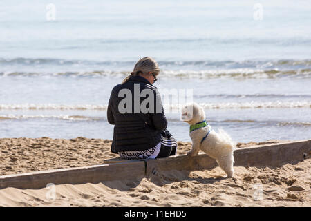 Bournemouth, Dorset, UK. Mar 26, 2019. Météo France : une autre belle chaude journée ensoleillée avec un ciel bleu et soleil à plages de Bournemouth, en tant que visiteurs, chef de la station pour profiter au maximum de la météo radieuse. Femme assise sur l'épi avec chien. Credit : Carolyn Jenkins/Alamy Live News Banque D'Images