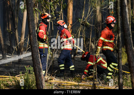 Esposende, Portugal. Mar 26, 2019. Pompiers vu en action lors d'un incendie qui a commencé en raison de températures chaudes au printemps, à 20 km de Viana do Castelo. Credit : Omar Marques/SOPA Images/ZUMA/Alamy Fil Live News Banque D'Images