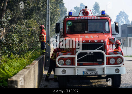 Esposende, Portugal. Mar 26, 2019. Pompiers vu en action lors d'un incendie qui a commencé en raison de températures chaudes au printemps, à 20 km de Viana do Castelo. Credit : Omar Marques/SOPA Images/ZUMA/Alamy Fil Live News Banque D'Images