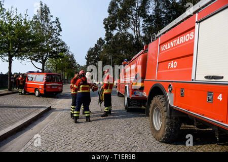 Esposende, Portugal. Mar 26, 2019. Pompiers vu en action lors d'un incendie qui a commencé en raison de températures chaudes au printemps, à 20 km de Viana do Castelo. Credit : Omar Marques/SOPA Images/ZUMA/Alamy Fil Live News Banque D'Images