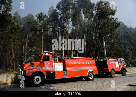 Esposende, Portugal. Mar 26, 2019. Les camions incendie vu lors d'un incendie qui a commencé en raison de températures chaudes au printemps, à 20 km de Viana do Castelo. Credit : Omar Marques/SOPA Images/ZUMA/Alamy Fil Live News Banque D'Images