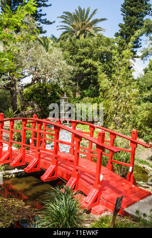 Miami Beach Florida,jardin botanique,jardinage,plantes,horticulture,pont japonais,rouge,pagode,arbres,feuillage,FL090308015 Banque D'Images