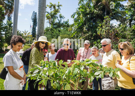 Miami Beach Florida,Miami Beach,jardin botanique,jardinage,jardinier,hobby,plantes,arbres,feuillage,horticulture,visite guidée,Black Blacks Africains Banque D'Images