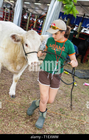 Miami Florida,Kendall,Tropical Park,Miami International Agriculture & Cattle Show,élevage,commerce du bétail,agro business,filles,jeune,femme k Banque D'Images