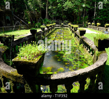 Parc de Paronella, Innisfail Japoon Mena Creek Road, France Banque D'Images