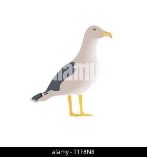 Curieux au repos, la moitié des oiseaux de mer permanent vue latérale, long cou, au plumage blanc, pattes, bec jaune, ailes tachetées pliée. Illustration de Vecteur