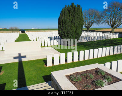 Grove cimetière près de Albert, France Banque D'Images