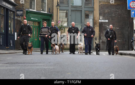 (De gauche à droite) PD Marci avec PC gestionnaire Neil Billany, PD Kai avec PC gestionnaire Jean Pearce, PD Delta avec handler PC Mark Snoxhall, PD Bruno avec handler Rob Smith, Dave PD avec PC gestionnaire Andy Salter et PD avec Jax PC gestionnaire Craig Howarth à Borough Market à Londres où les chiens ont été honorés avec l'APSS Ordre de mérite pour aider les services d'urgence au cours de la 2017 attentats terroristes à Londres Westminster Bridge, London Bridge et Borough Market. Banque D'Images