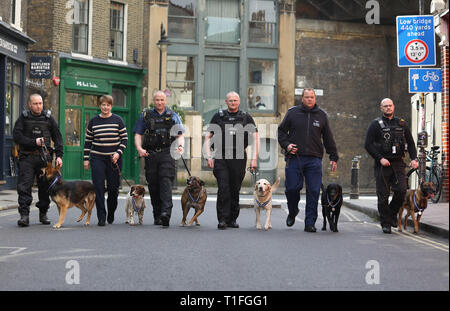 (De gauche à droite) PD Marci avec PC gestionnaire Neil Billany, PD Kai avec PC gestionnaire Jean Pearce, PD Delta avec handler PC Mark Snoxhall, PD Bruno avec handler Rob Smith, Dave PD avec PC gestionnaire Andy Salter et PD avec Jax PC gestionnaire Craig Howarth à Borough Market à Londres où les chiens ont été honorés avec l'APSS Ordre de mérite pour aider les services d'urgence au cours de la 2017 attentats terroristes à Londres Westminster Bridge, London Bridge et Borough Market. Banque D'Images