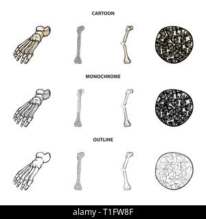 Fracture du fémur,pieds,de,l'ostéoporose,cheville,la douleur,cell,osseux sain,jambe,biais,tissu,,la podologie,dommage,Genou,avant-pied,conjonctif,tibia,DE,panneaux,cartilage péroné,structure,l'appareil locomoteur, les pieds plats,linstallation,mouvement,fibre optique,joints,système,scientifique,médecine,musculaire,biologie,clinique,medical,,os,squelette humain,anatomie organes,,set,icône,,illustration,collection,isolé,design,graphisme,élément vecteur vecteurs,signer , Illustration de Vecteur