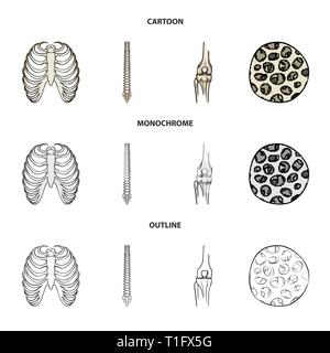 Nervure, colonne vertébrale,fémur,,fibre,cage,chiropratique,osseuses,sain,rx,base,jambe,scientifique,le corps,la colonne vertébrale,Genou,musculaires ostéoporose,tibia,,épithélium sternum,posture,péroné,épiderme,sternum,joints,tendon,mouvement,calcium cellule,chirurgie,dommage,la médecine,clinique,biologie,médical,os,,squelette anatomie,des,organes,,set,icône,,illustration,collection,isolé,design,graphisme,élément vecteur vecteurs,signer , Illustration de Vecteur