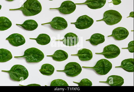 Les feuilles d'épinards. Épinards frais vert sur fond blanc. Vue d'en haut Banque D'Images