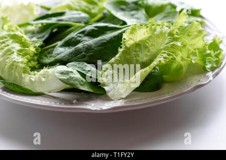 Un mélange d'épinards et feuilles salana sur une assiette. Selective focus, fond blanc Banque D'Images
