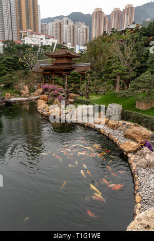 Nan Liang Gardens, Hong Kong Banque D'Images