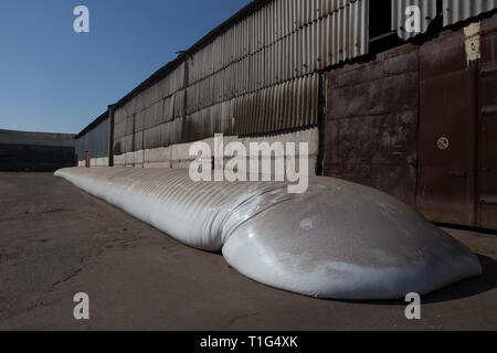 Le thème est l'industrie et agraire. La moisson est stocké dans de grands, imperméables, étanches sacs blancs à l'air libre à l'extérieur de la ferme. Banque D'Images