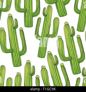 Cactus vert exotique modèle homogène. Tropic plantes grasses et de plantes à fleurs. Arrière-plan de style mexicain avec des plantes, bandes dessinées. Papier d'emballage succulentes télévision vector remplir Illustration de Vecteur