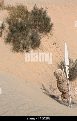 Creux entre les dunes-drapeaux votifs-le mausolée mazar de l'Imam Asim-le désert de Taklakan. Hogan-Xingjiang-Chine-0057 Banque D'Images