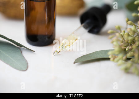 Plein de compte-gouttes d'huile d'eucalyptus avec des feuilles et une bouteille qui l'entourent. Banque D'Images