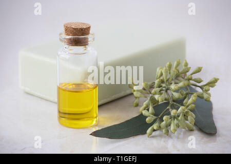 Bouteille de l'huile d'eucalyptus avec barre de savon et de feuilles. Banque D'Images