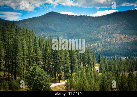 Aperçu de route tournant parmi les pins ponderosa dans les grands horizons, dans la belle et montagneux de l'ouest du Montana, USA Banque D'Images