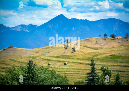 Une vue sereine et d'une chaîne de montagnes du Montana bleu avec un golden meadow et balles de foin rondes pour un paysage de l'Ouest dans la région de Big Sky Country, USA Banque D'Images