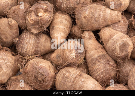 Heap de matières premières racines dasheen close-up dans un marché chinois, Chengdu, Chine Banque D'Images